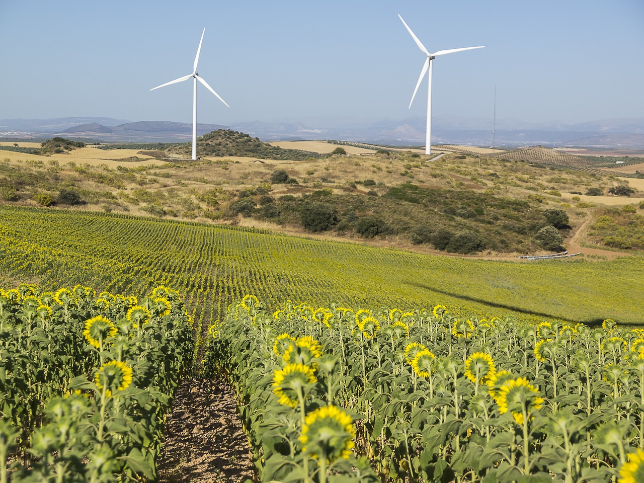 wind park wind energy renewable free photo