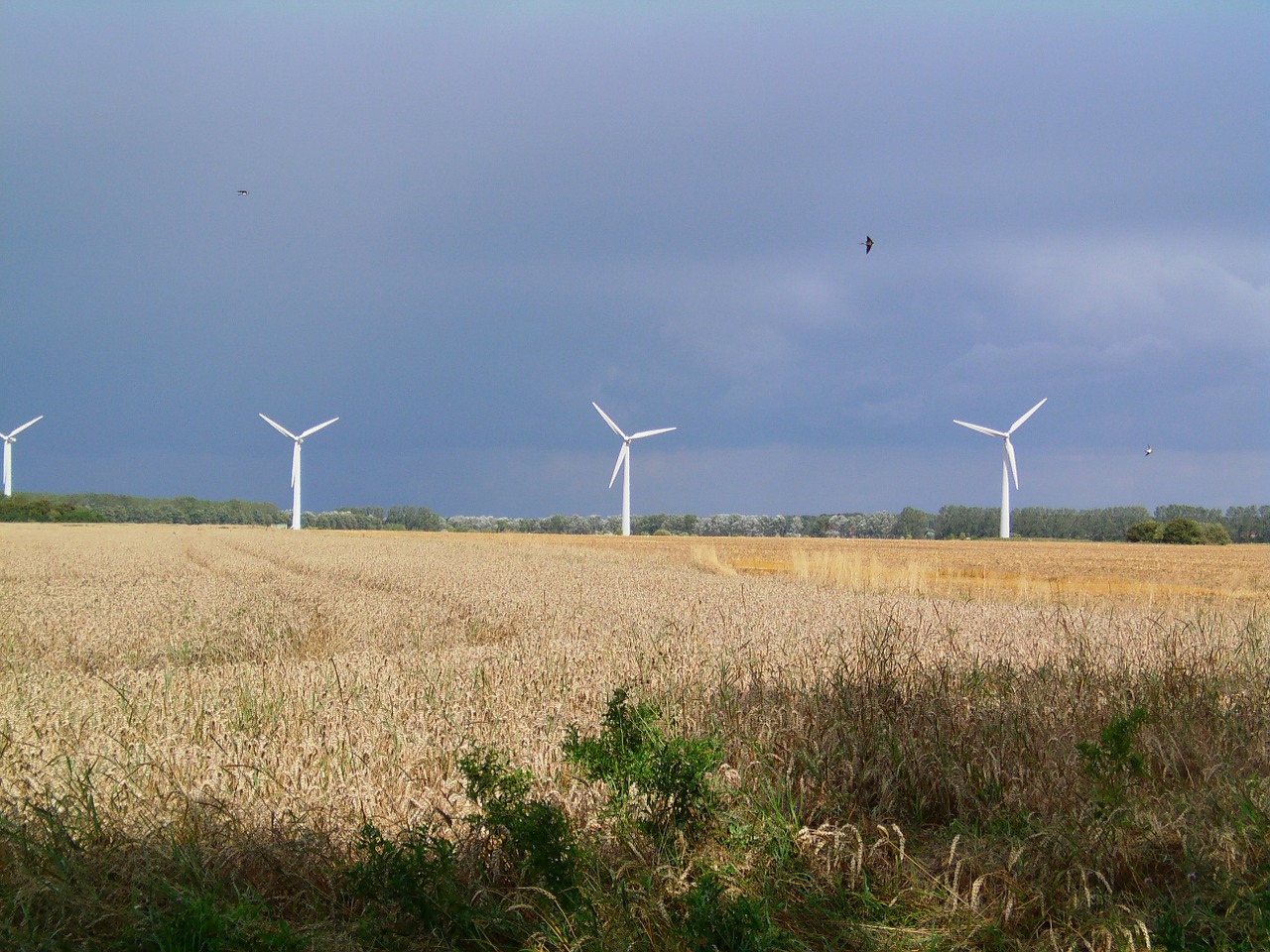 wind power windräder windmill free photo