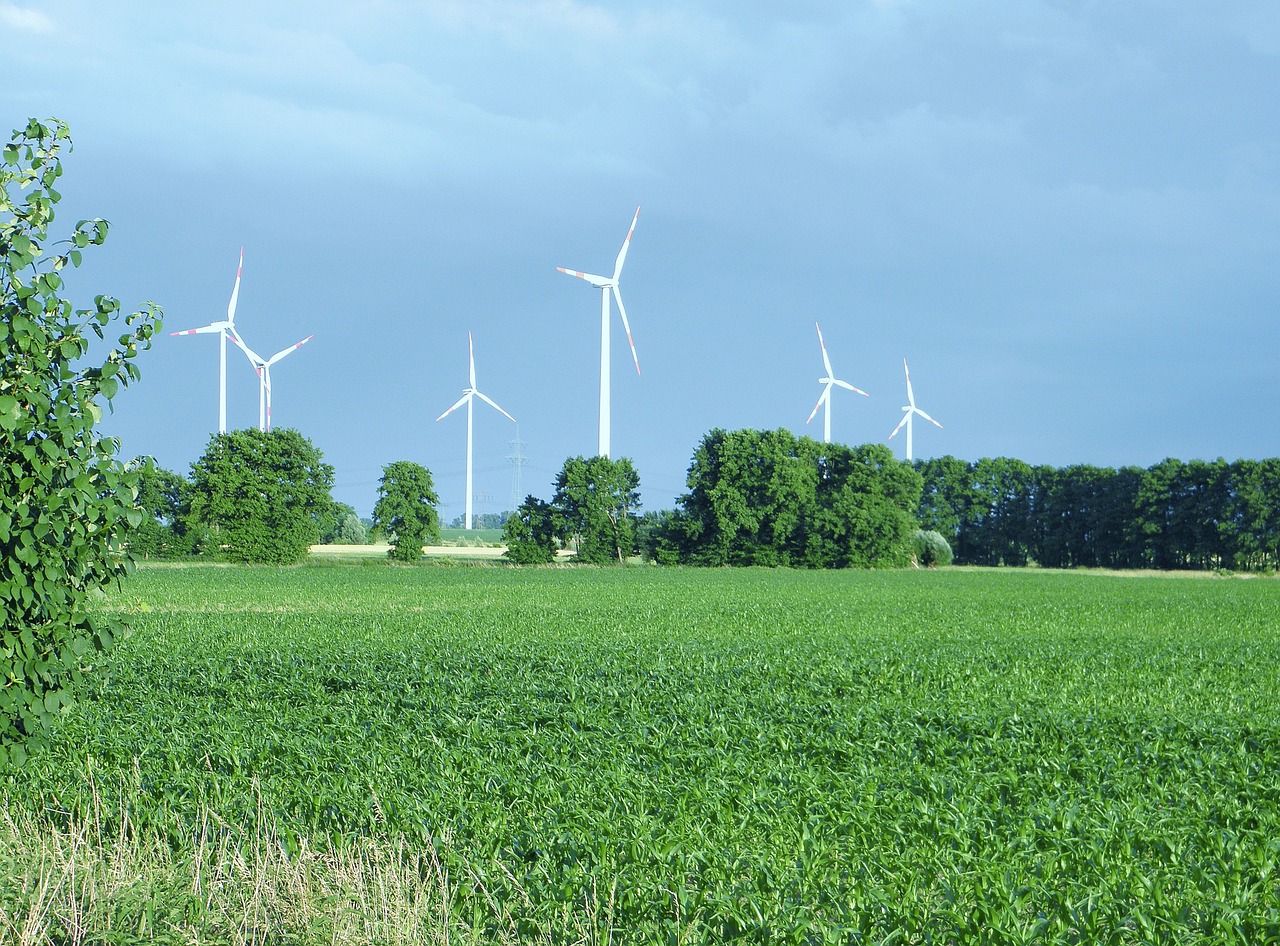 wind power windräder energy free photo