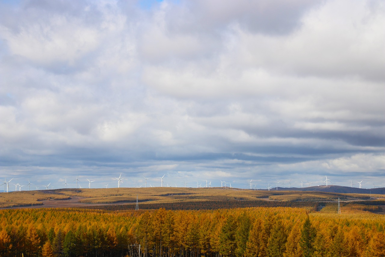 wind power generation  new energy  prairie free photo