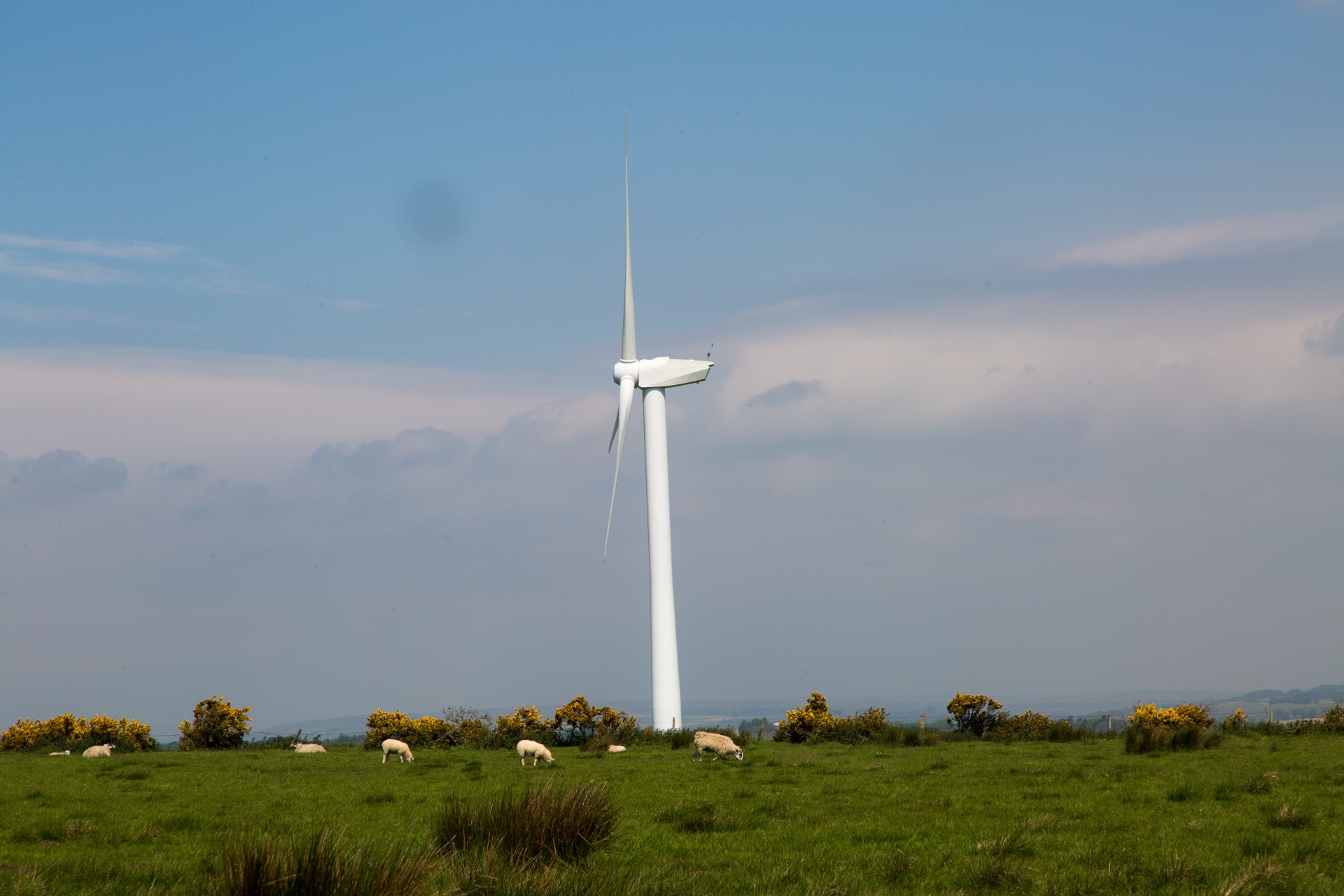 Edit free photo of Wind,farm,modern,plant,resources - needpix.com