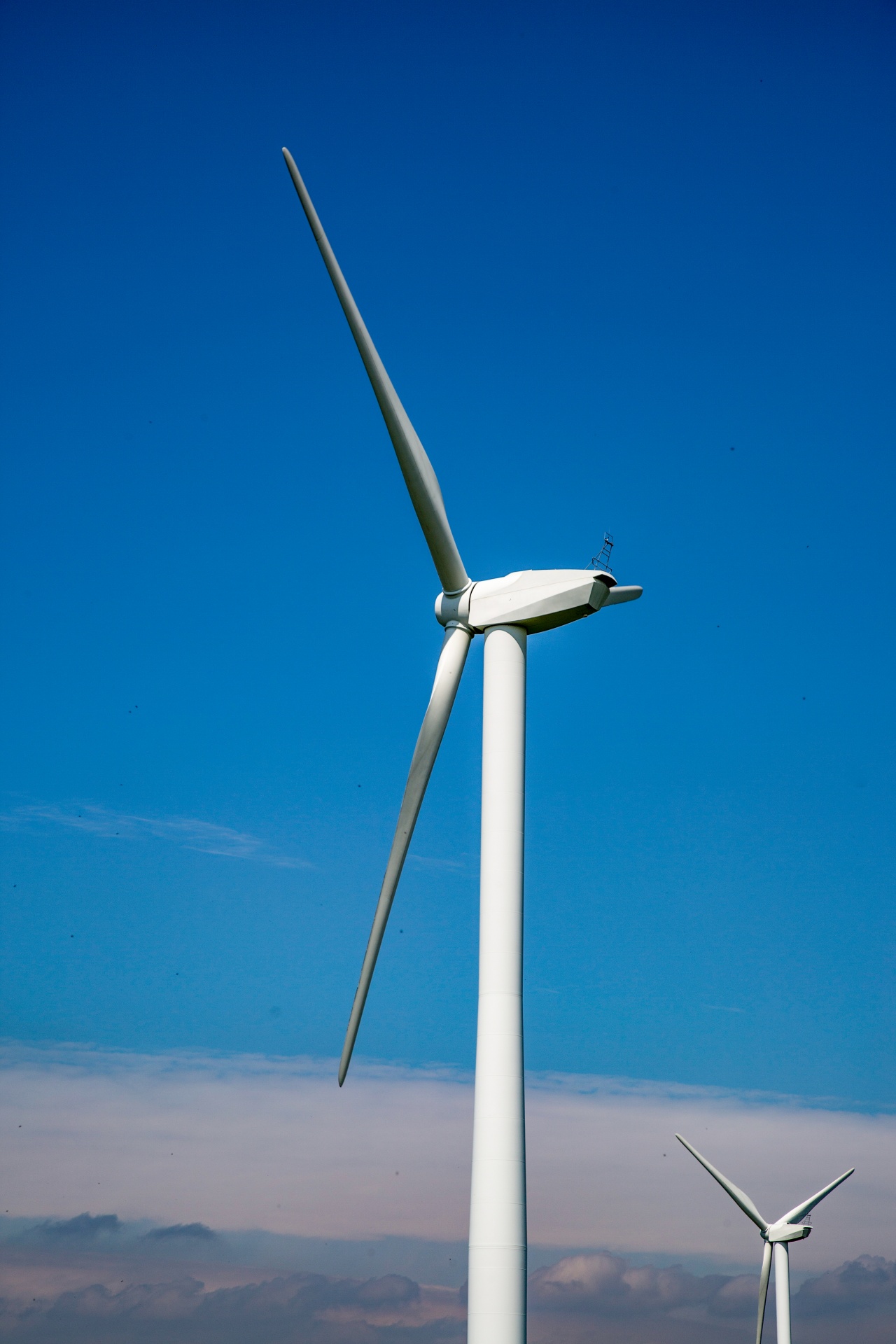 wind farm modern free photo