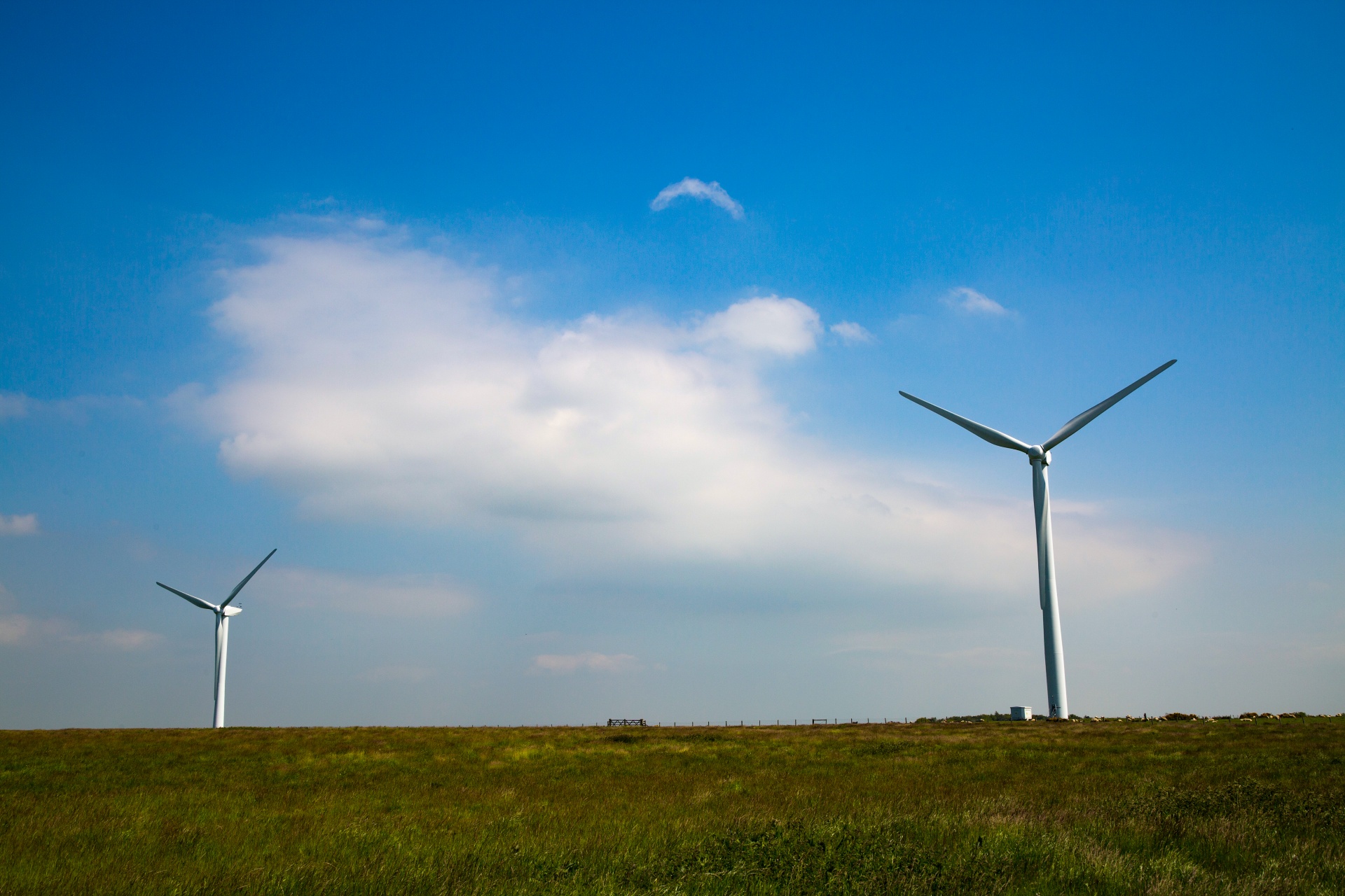 wind farm modern free photo