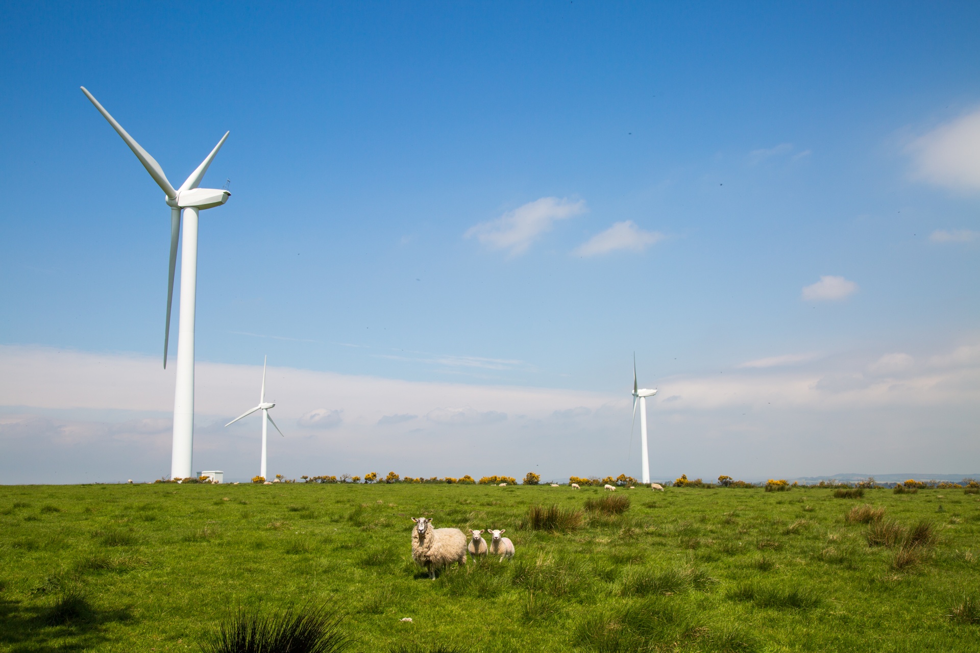 wind farm modern free photo