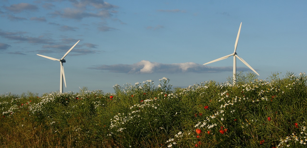 wind turbine landscape summer free photo