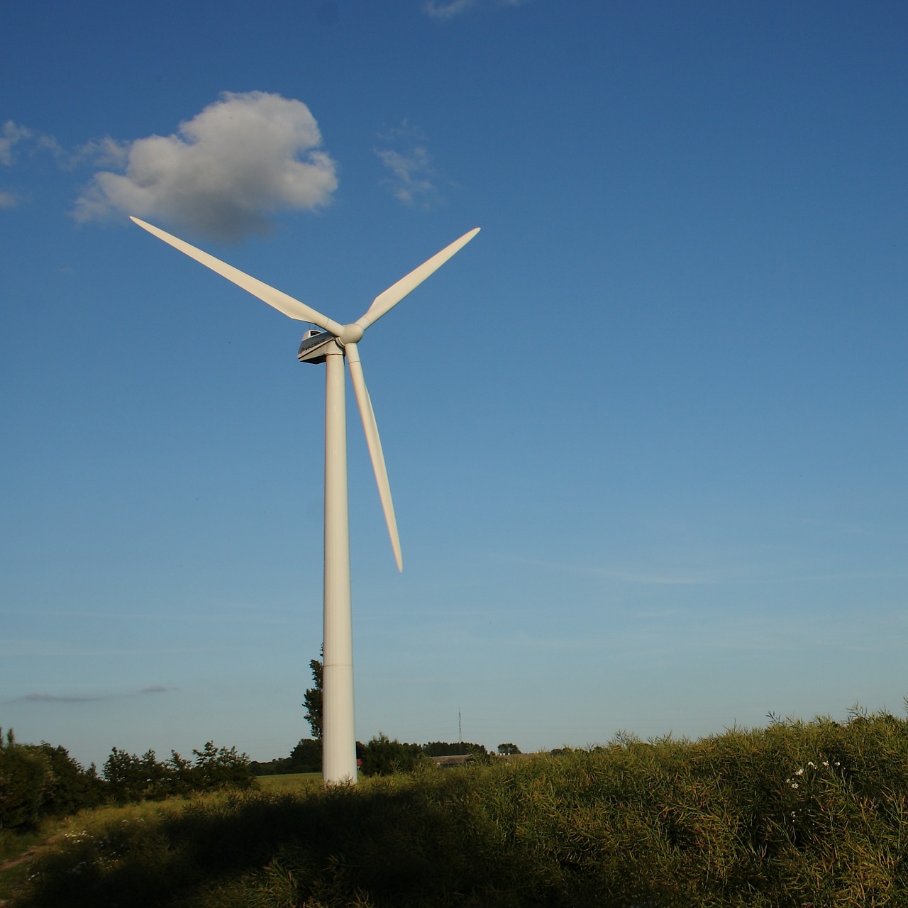 wind turbine landscape summer free photo