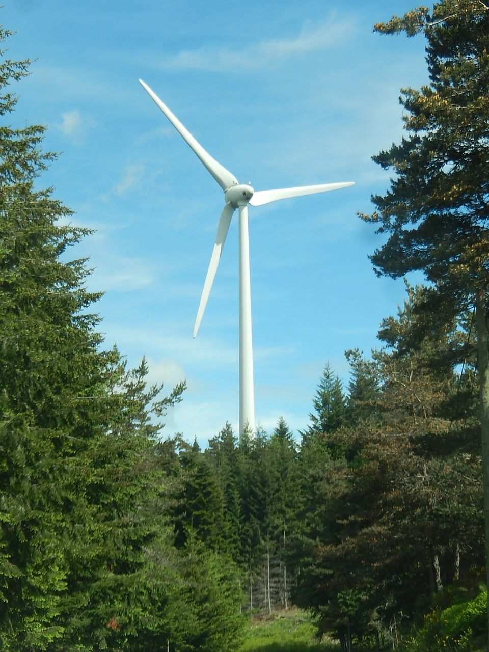 wind turbine sustainable development energy free photo