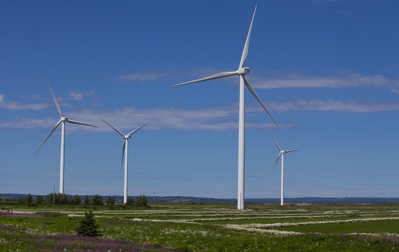 wind turbine wind wind energy free photo