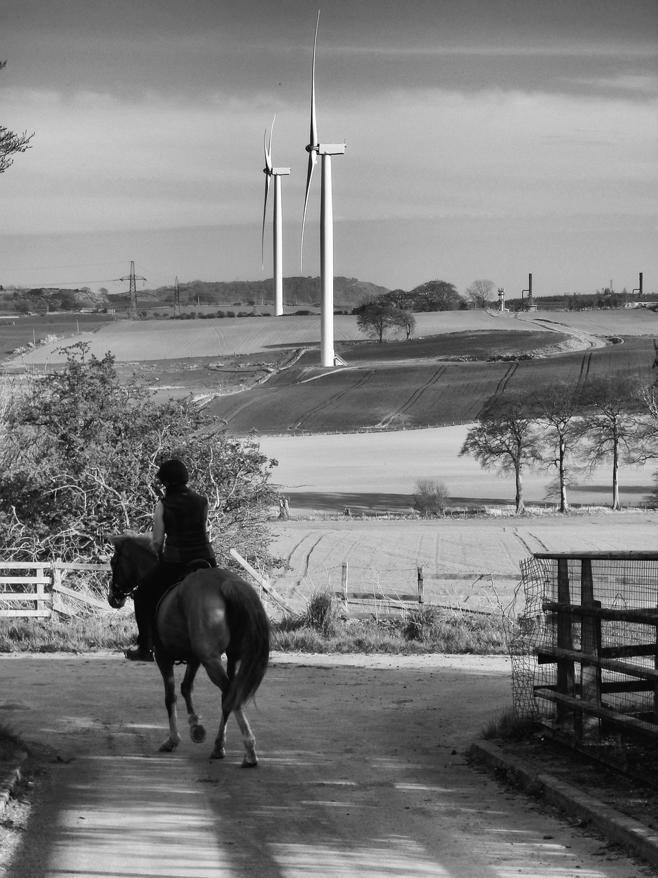 wind turbine horse landscape free photo