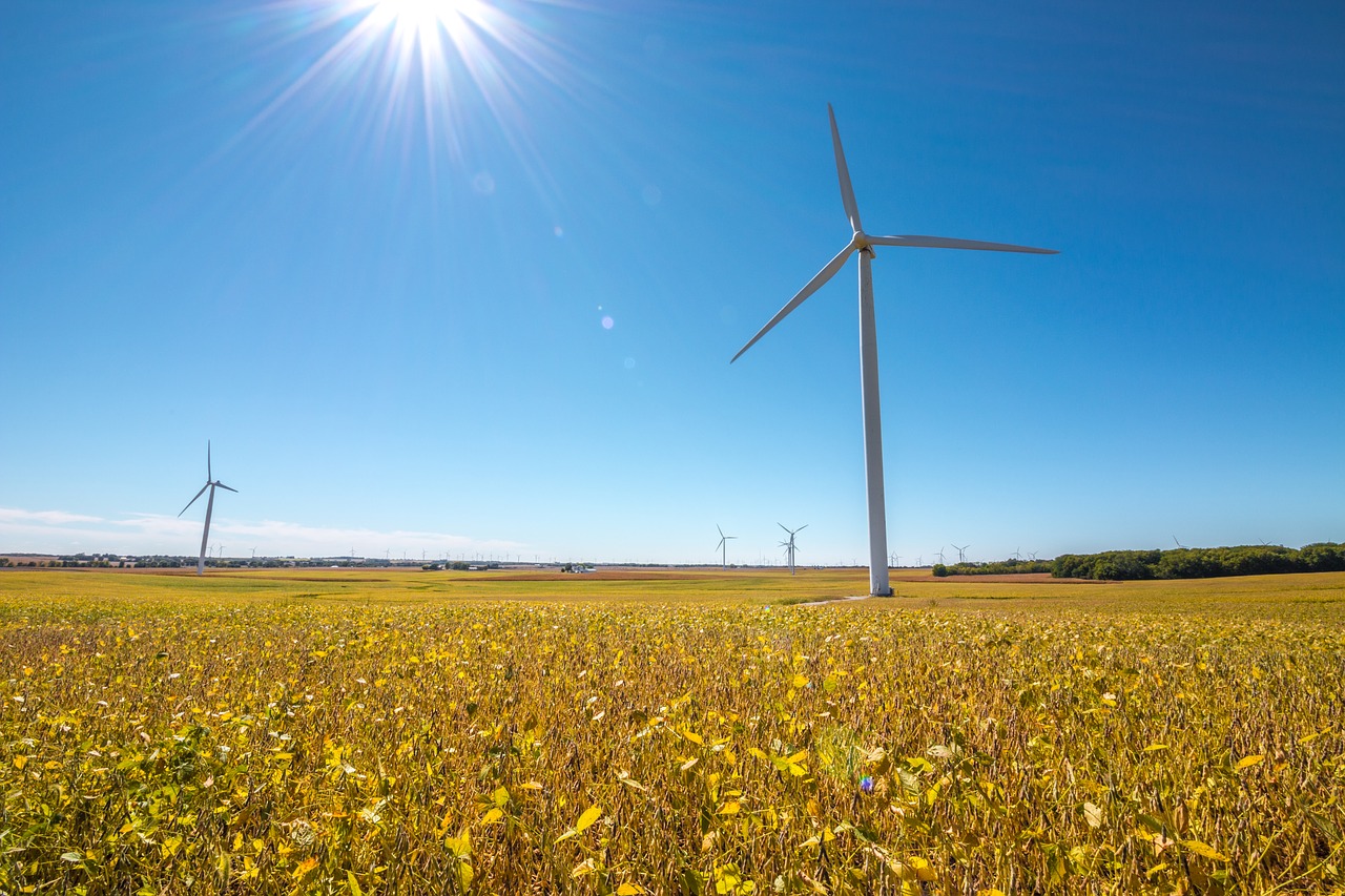 wind turbine windmill harvest free photo