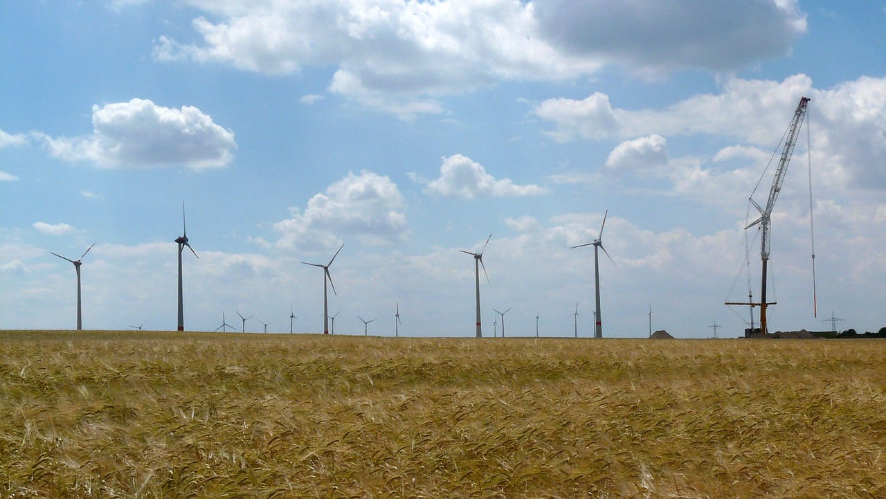 wind turbine cornfield assembly free photo