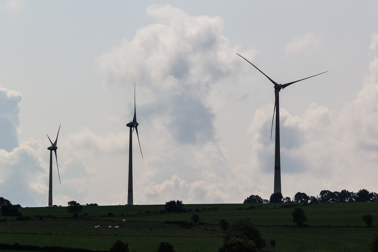 wind turbine wind wind mill free photo