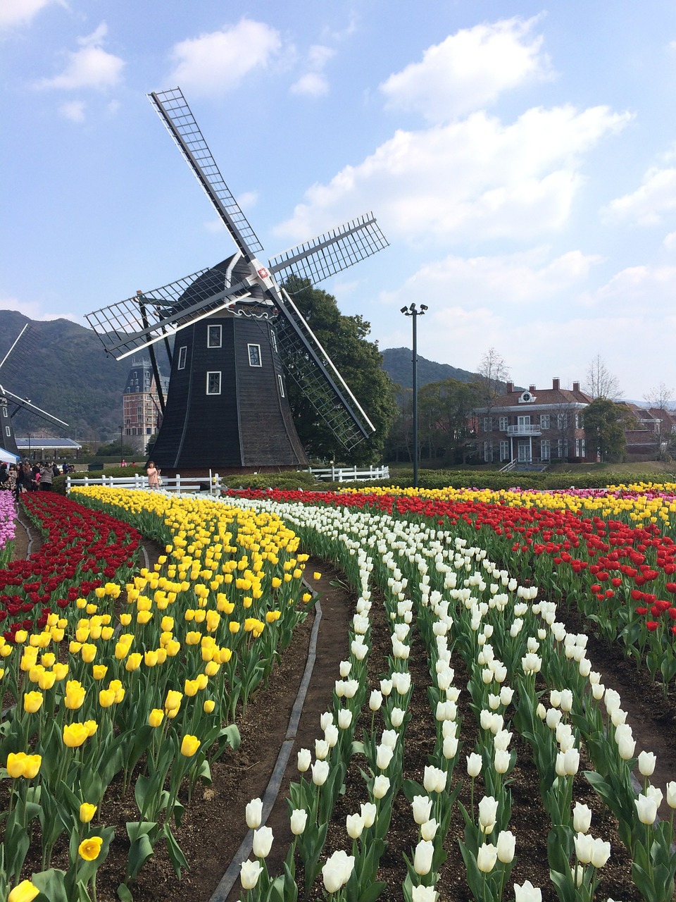 wind turbine spring natural free photo