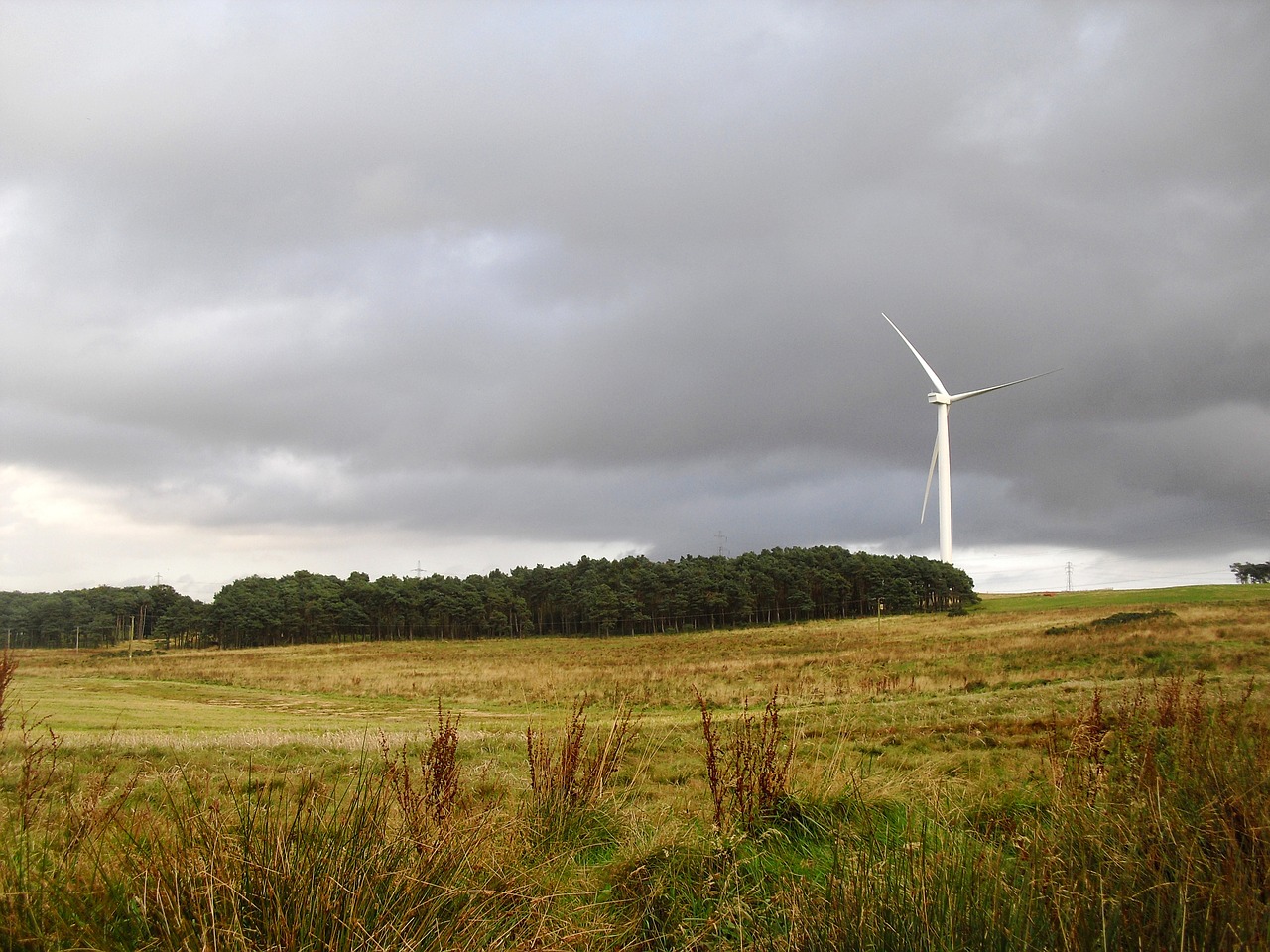 wind turbine woods field free photo