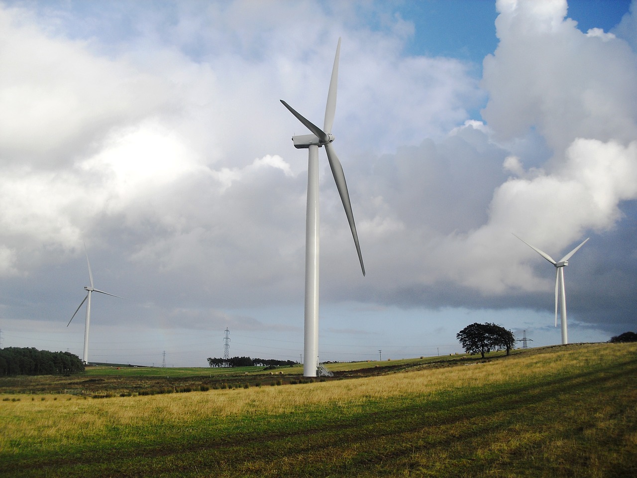 wind turbine wind farm field free photo
