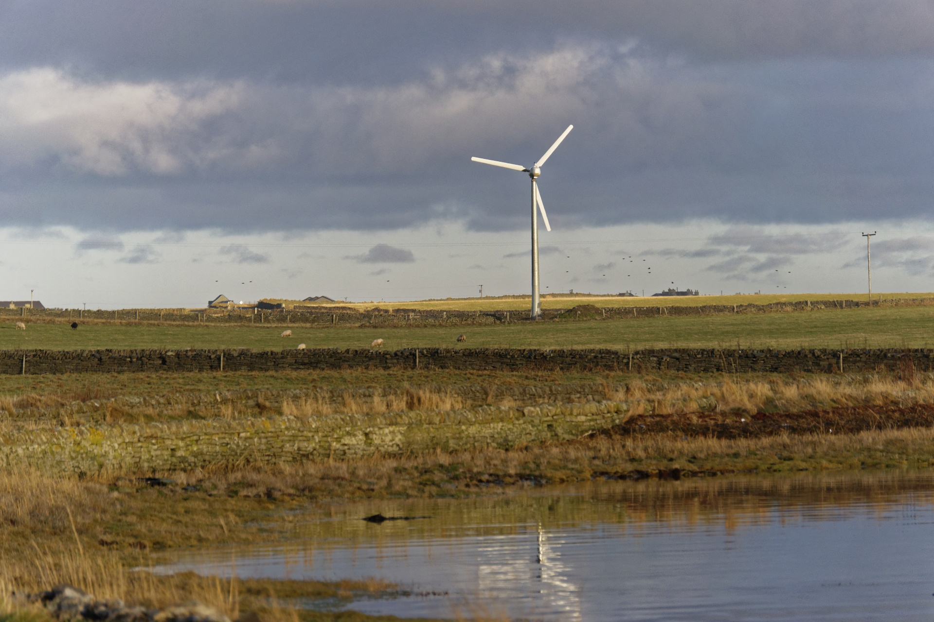 wind turbine wind turbine free photo