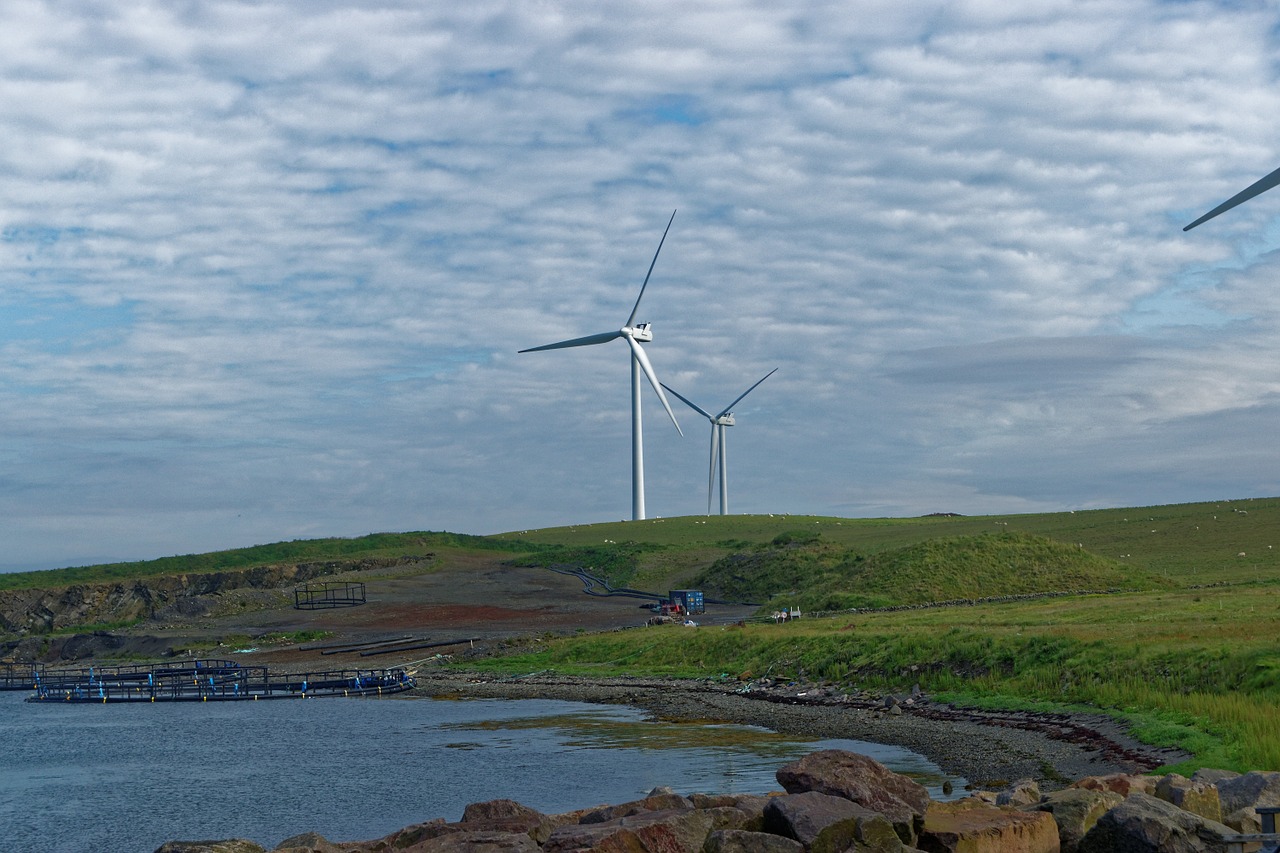 wind turbines wind power energy free photo