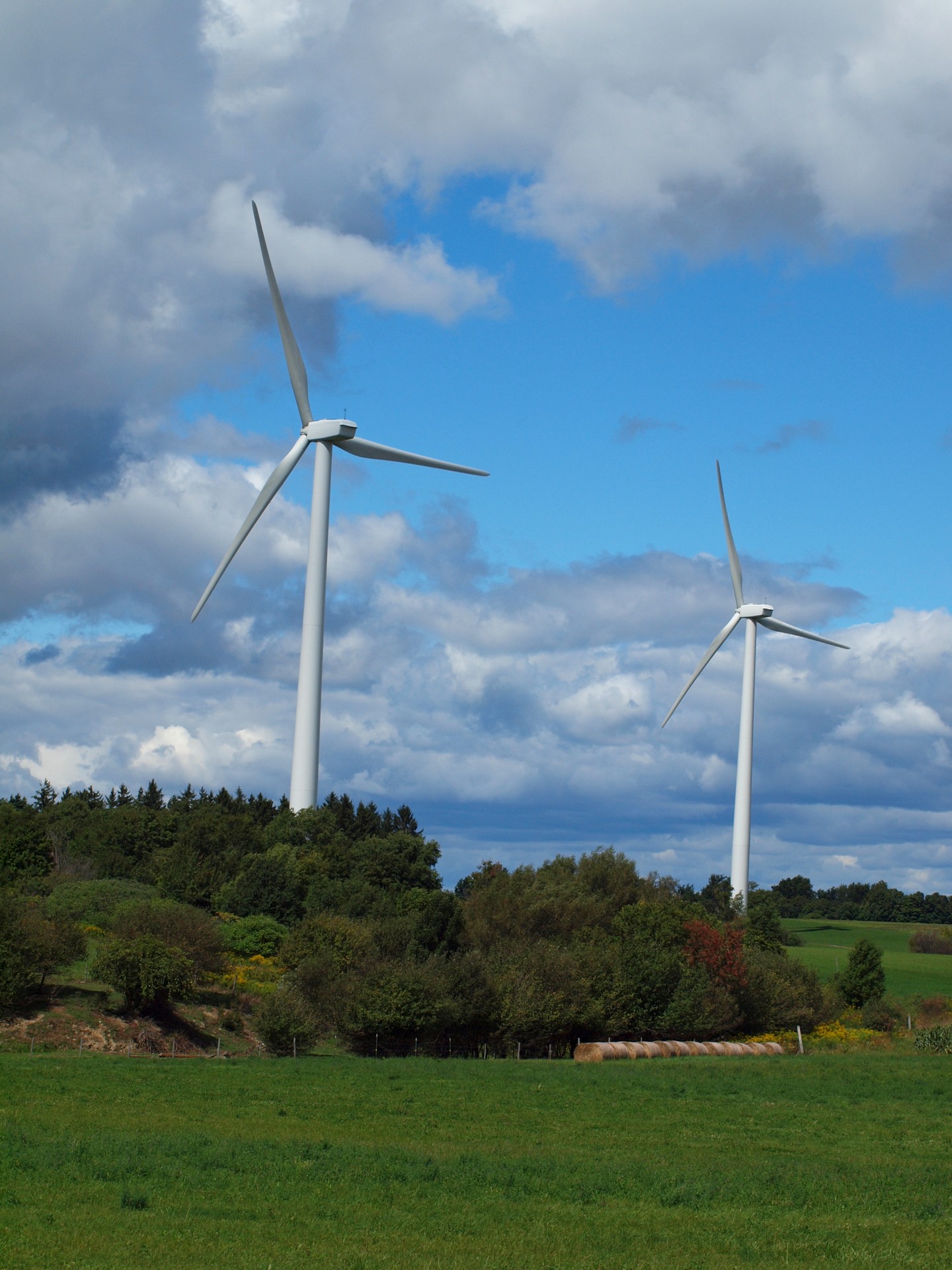 wind turbine wind turbine free photo