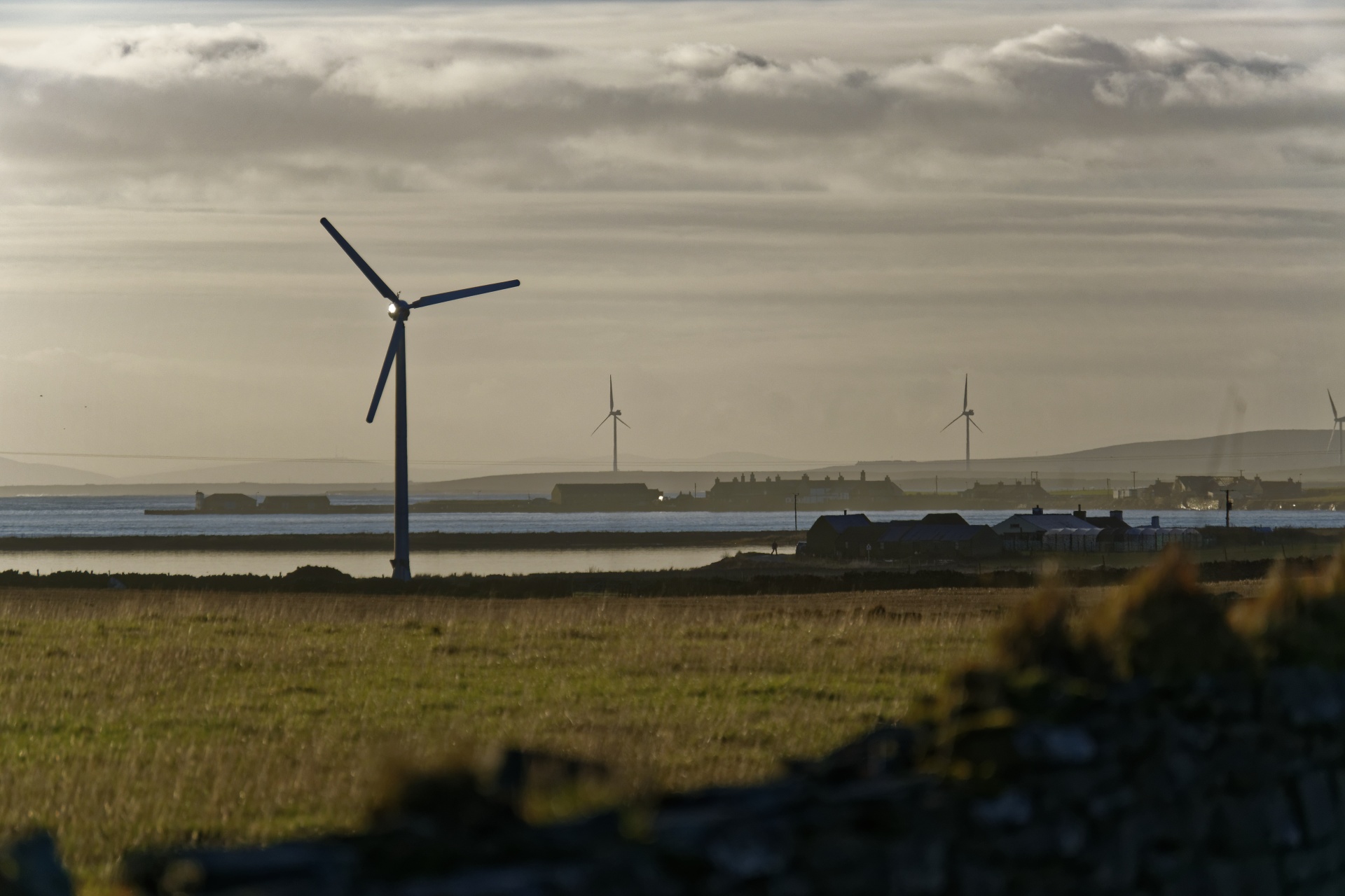 wind turbine wind turbine free photo