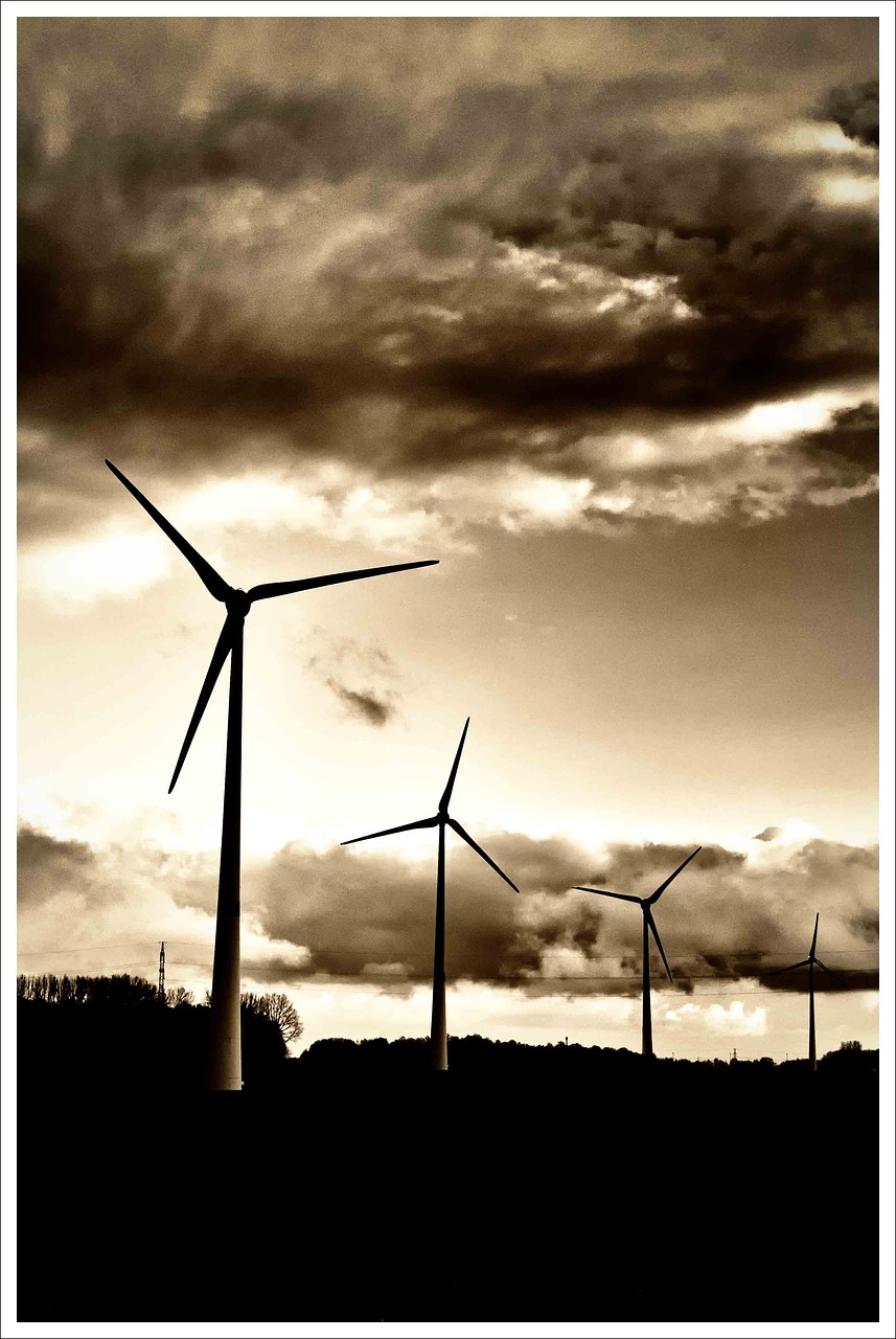 wind turbines black and white b w free photo