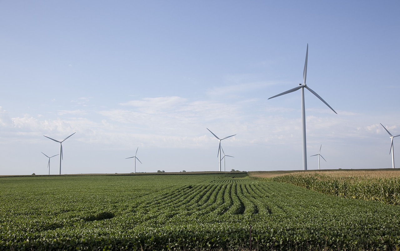 wind turbines field farm free photo