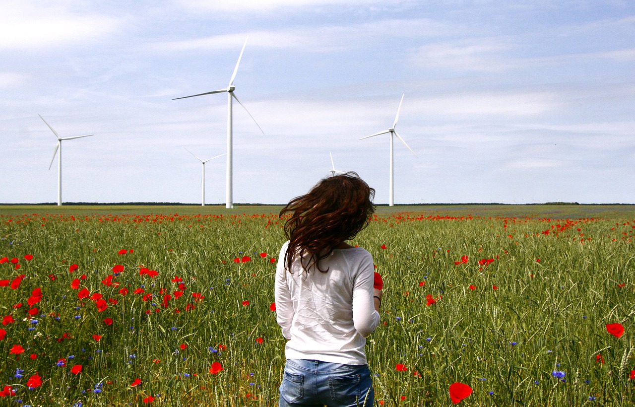wind turbines windmills spin free photo