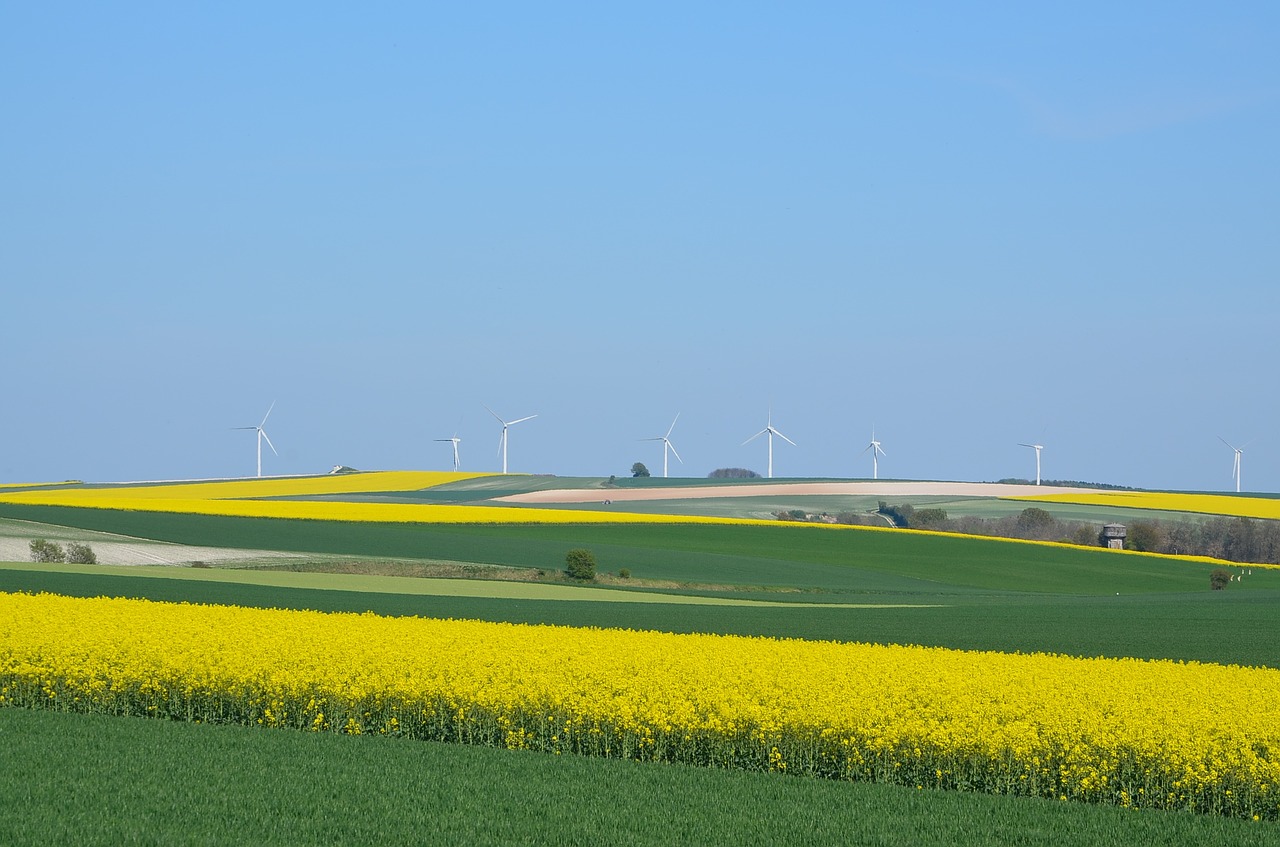 wind turbines colors blue free photo