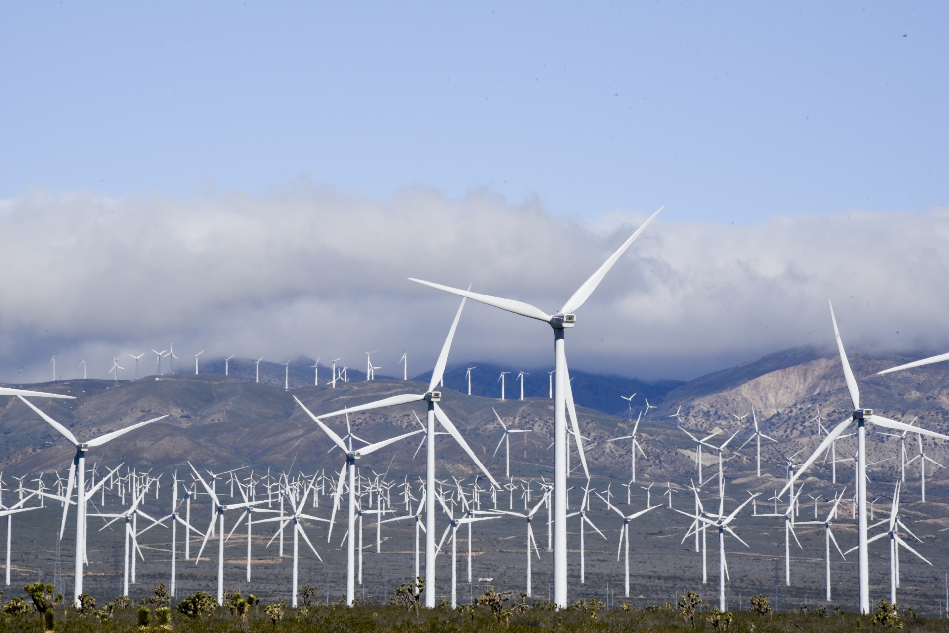 wind power turbines free photo