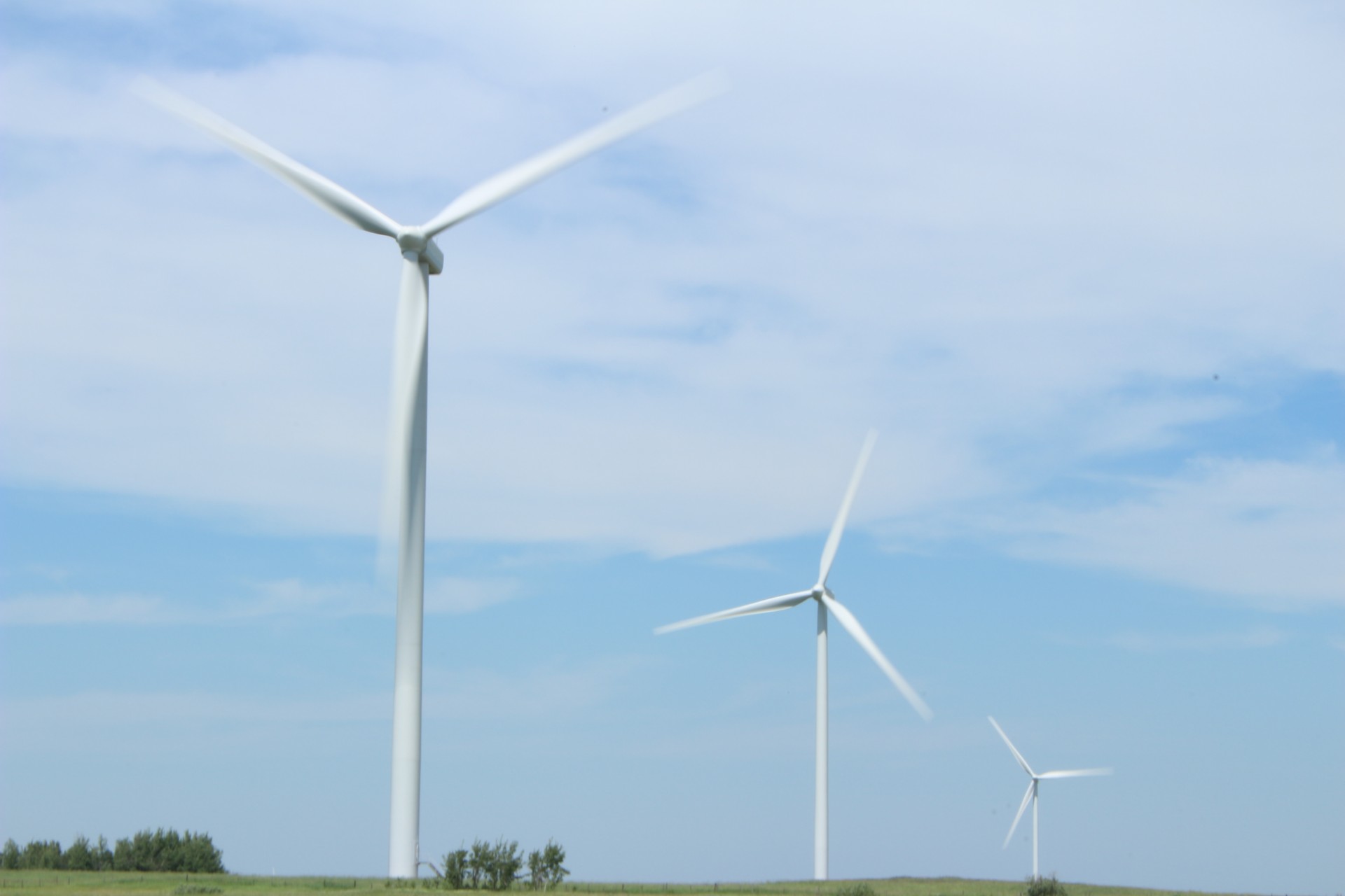 wind turbines windmills free photo