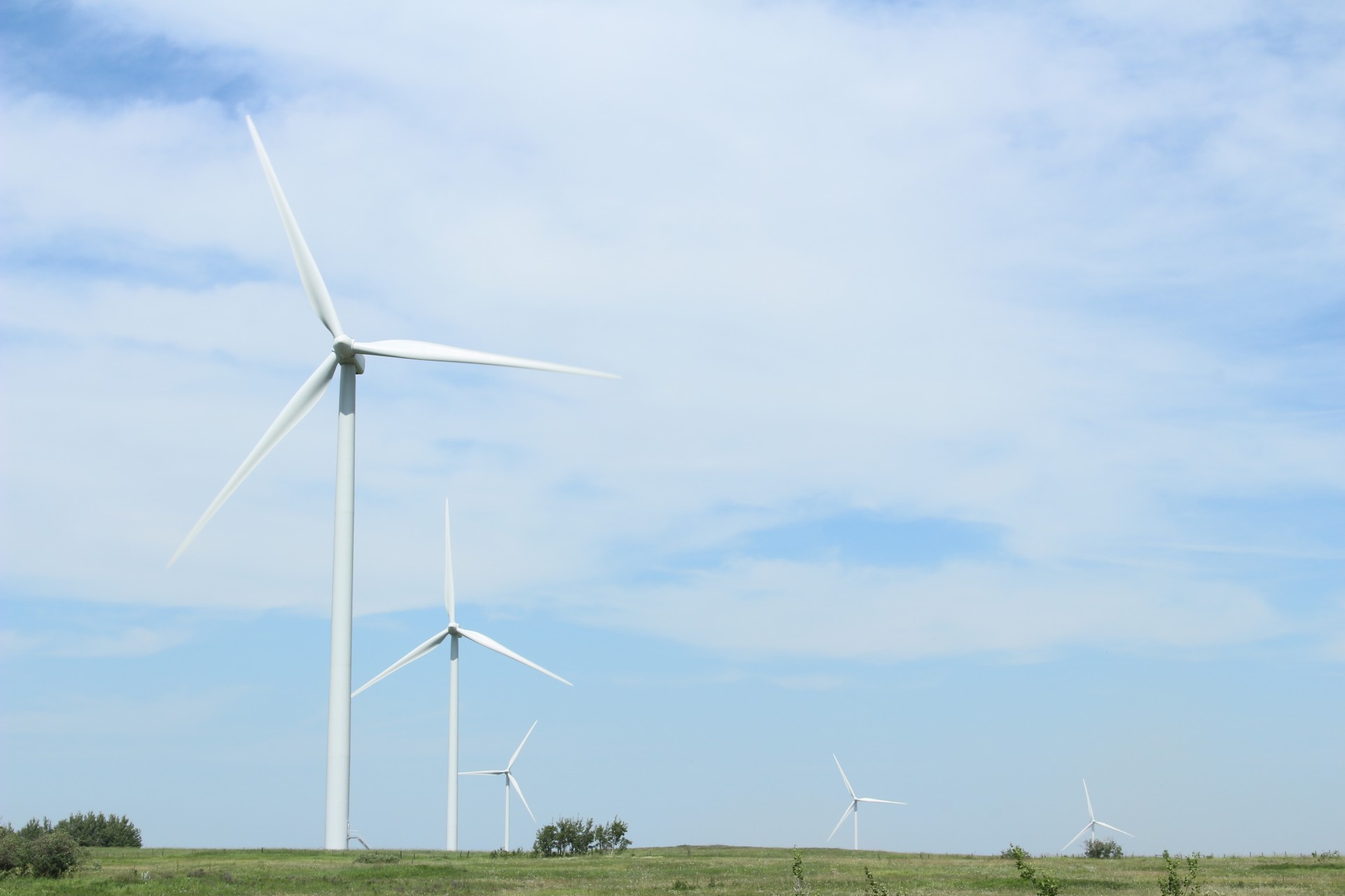 wind turbines windmills free photo