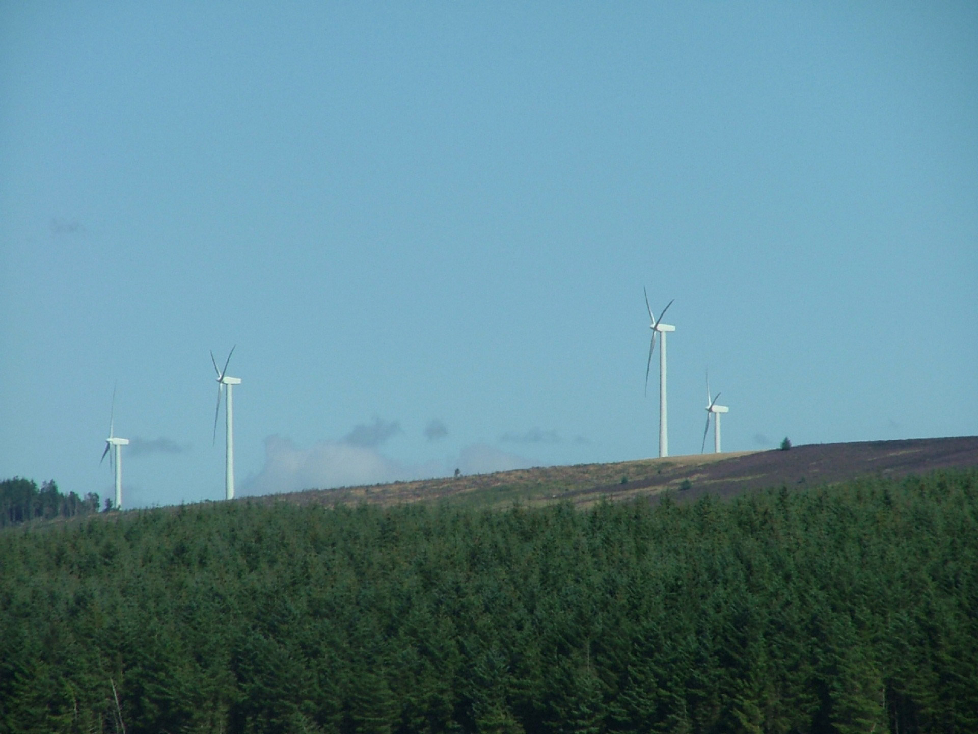 wind turbines wind farm wind turbines free photo