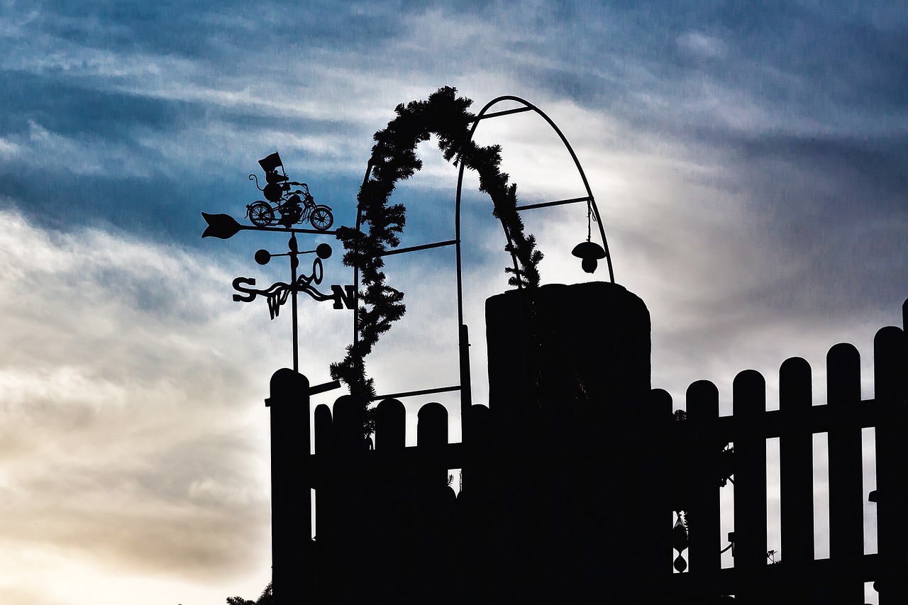 wind vane evening silhouette free photo