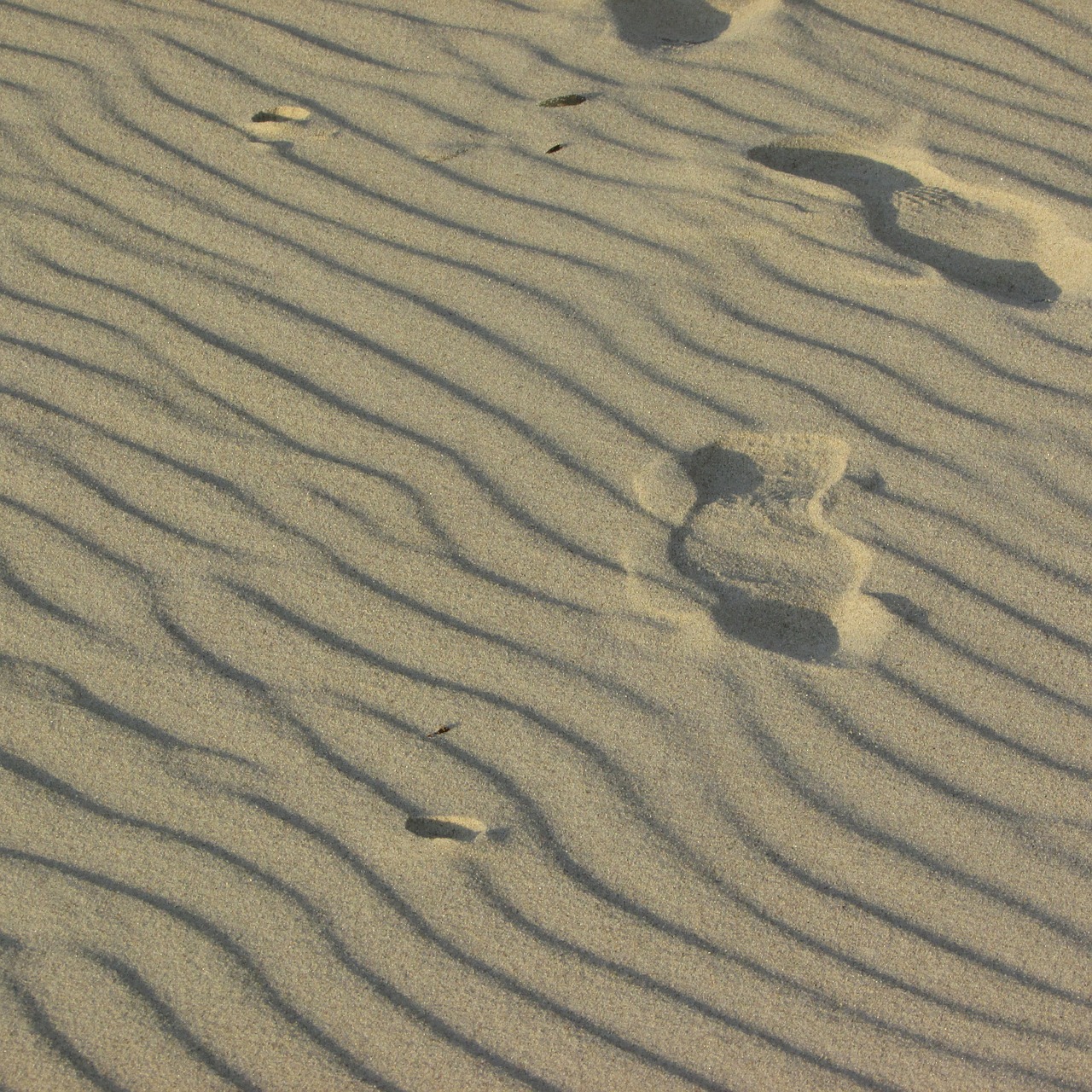 wind waves sandy beach elephant rock beach free photo