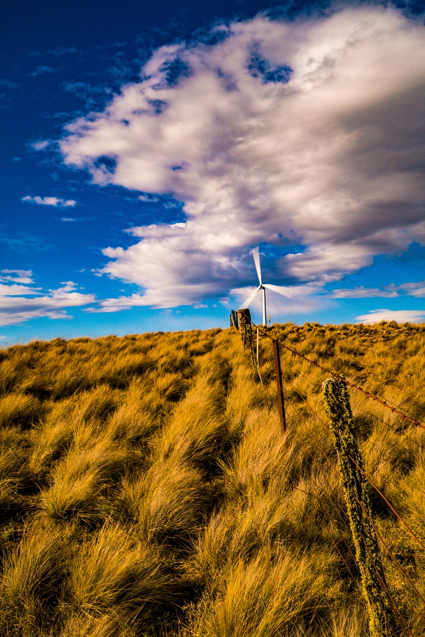windfarm global warming energy free photo