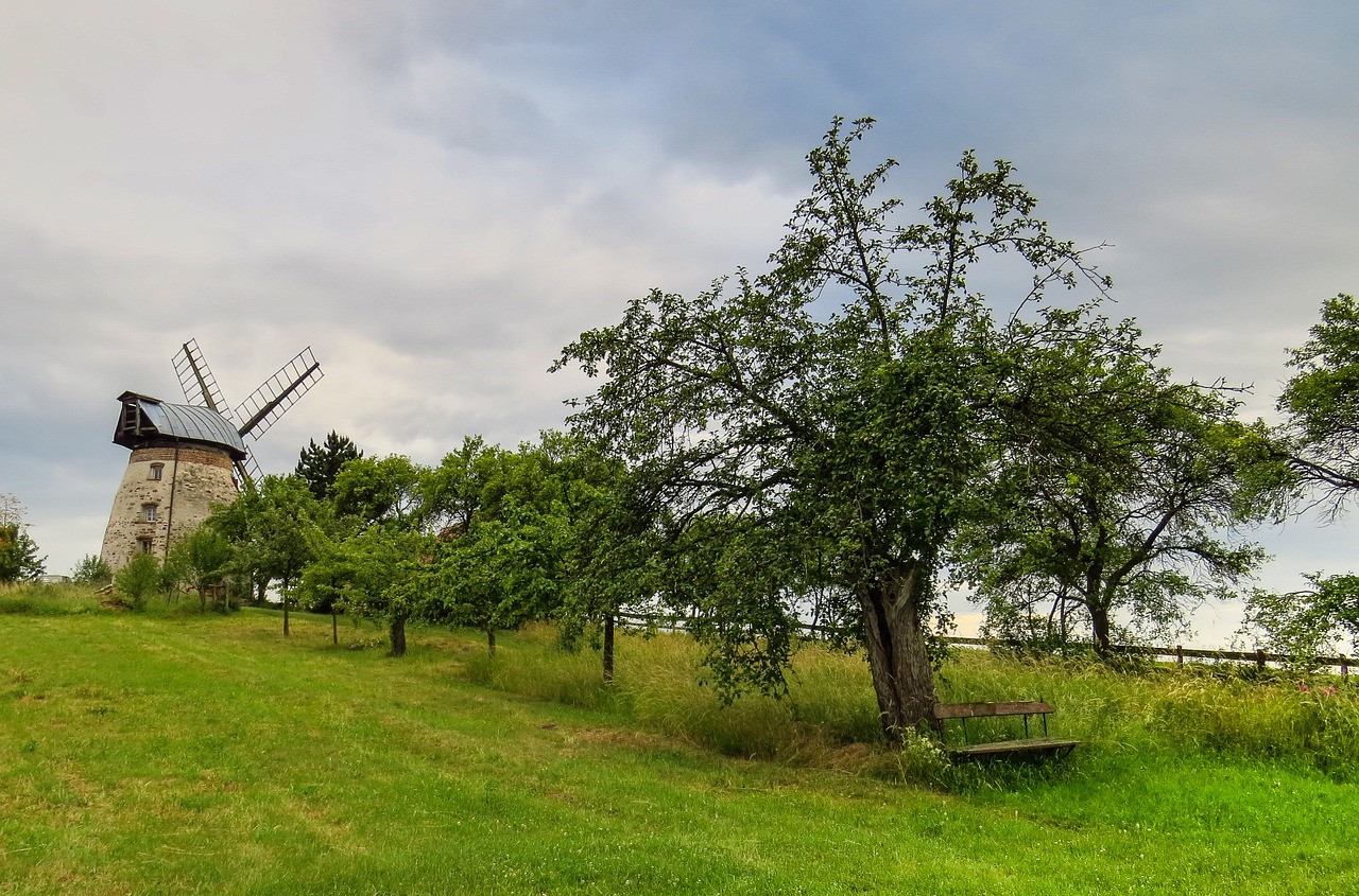 windmill mill old free photo