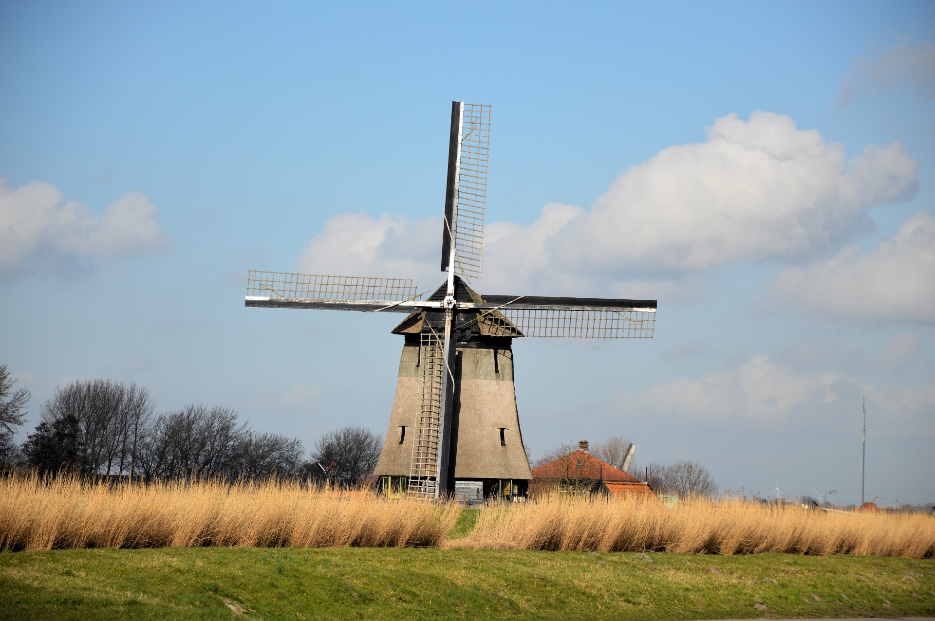windmill history tradition free photo
