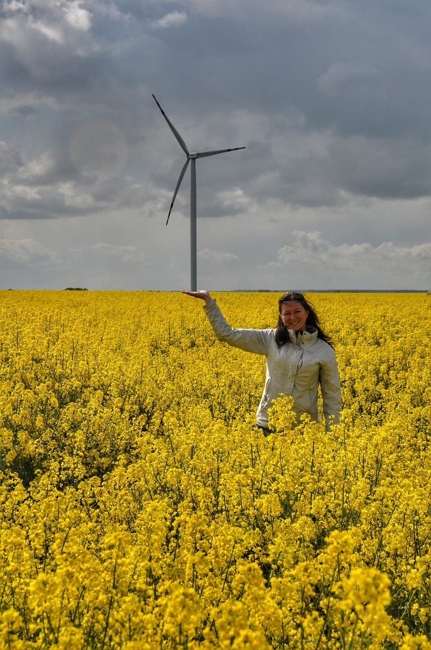 windmill rapeseed spring free photo