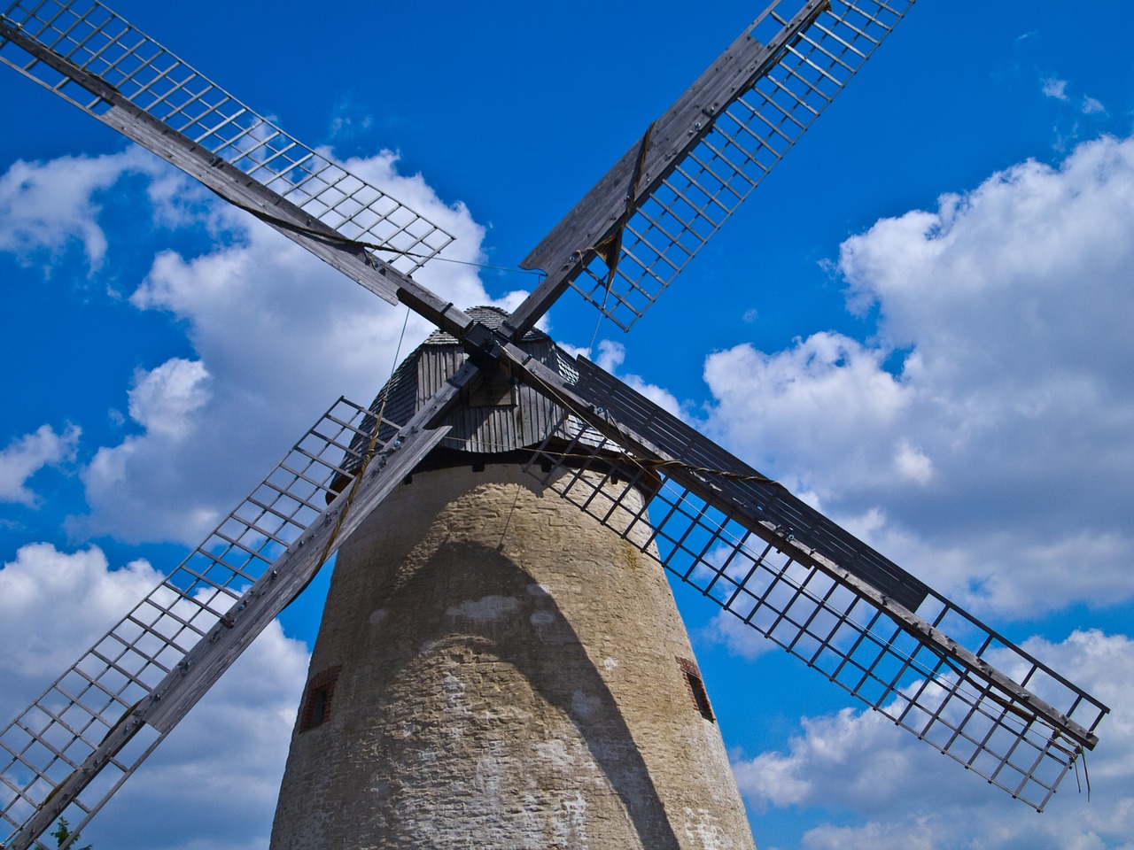 windmill force of nature grain free photo