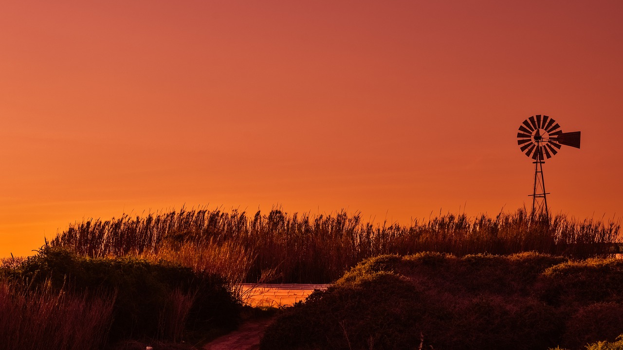 windmill sunset reeds free photo