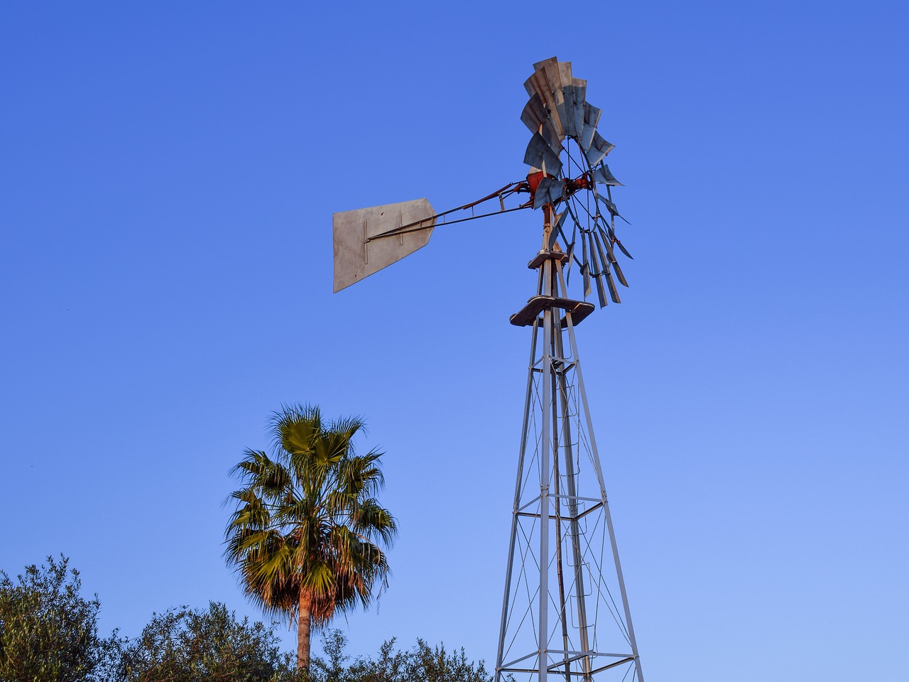 windmill palm tree countryside free photo