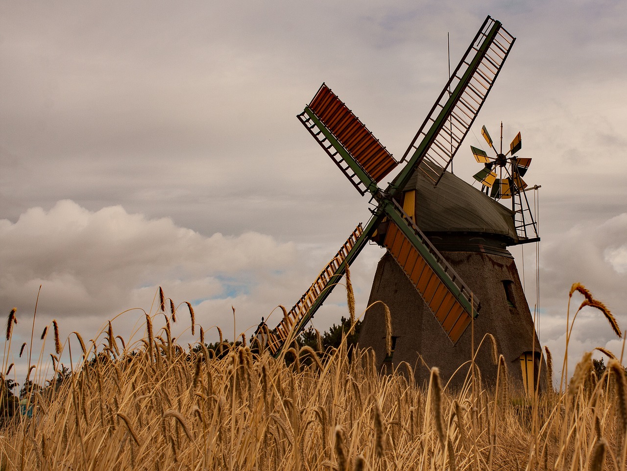 windmill amrum north sea free photo