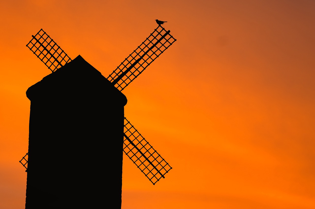 windmill old bird free photo