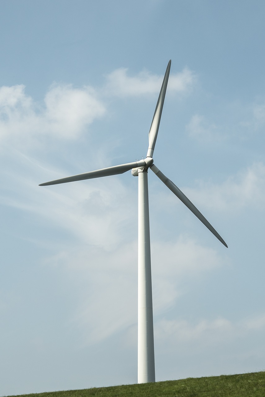 windmill dutch green free photo
