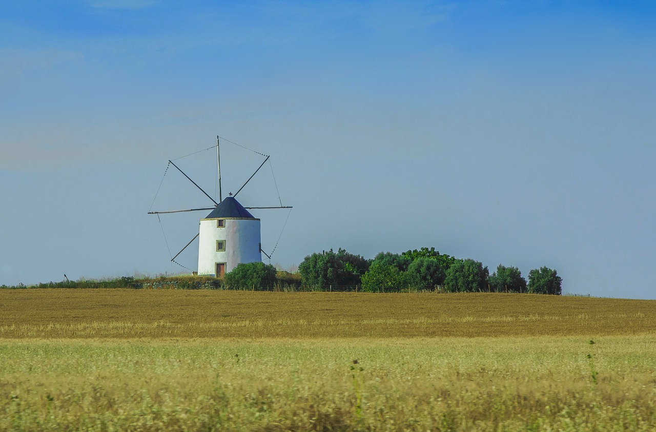 windmill the grain harvest free photo