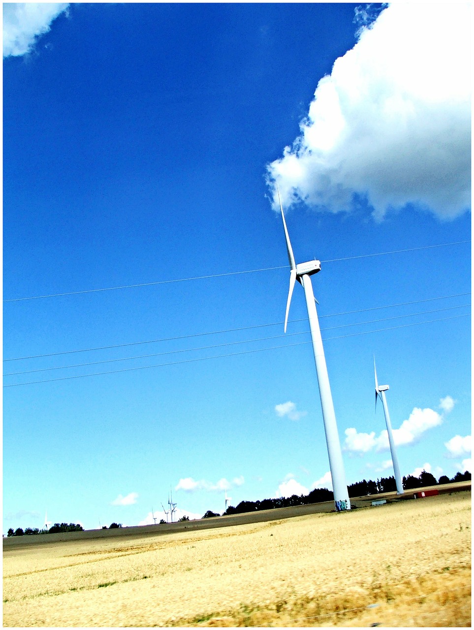 windmill wind wind energy free photo