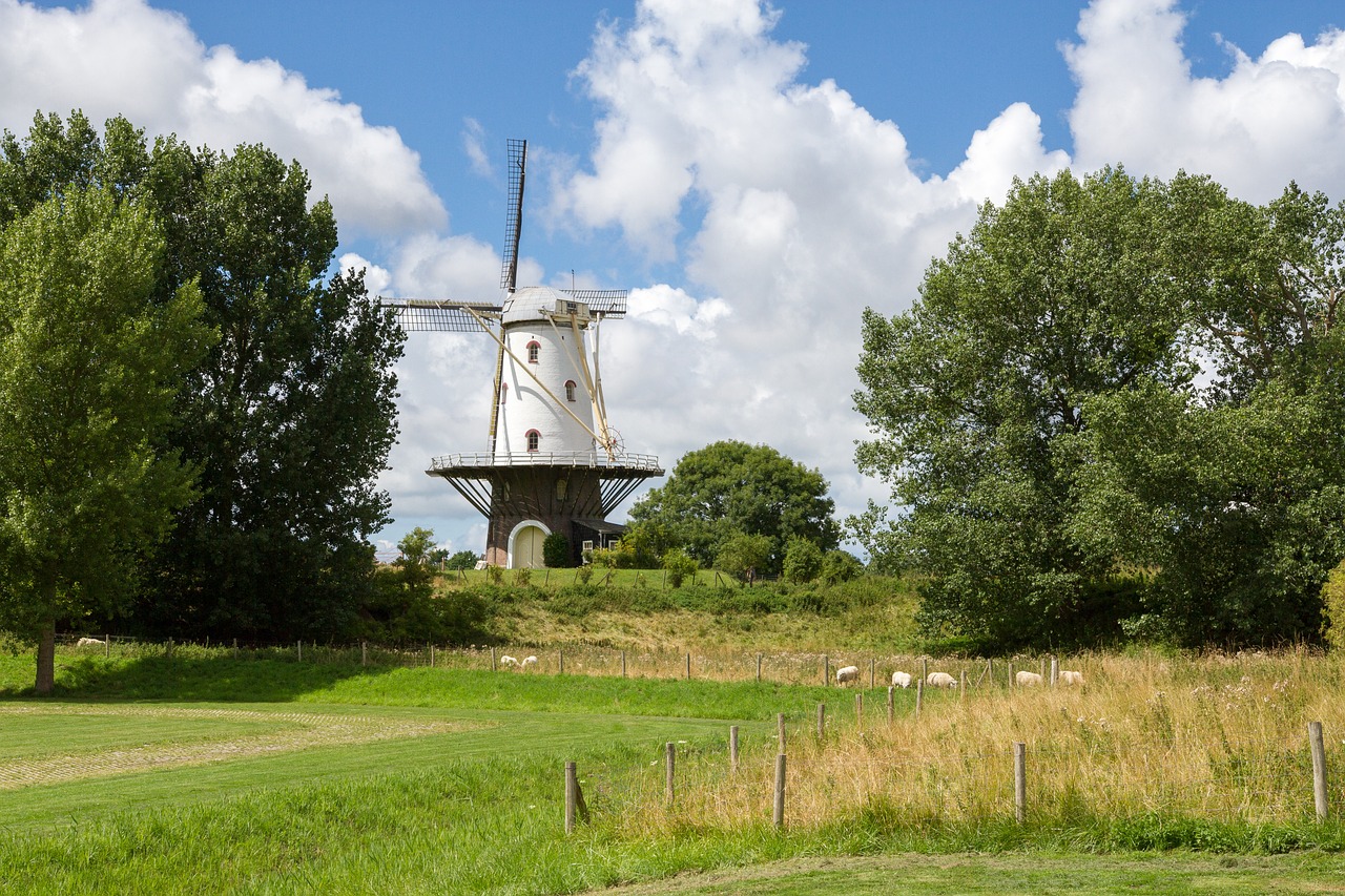 windmill holland wing free photo