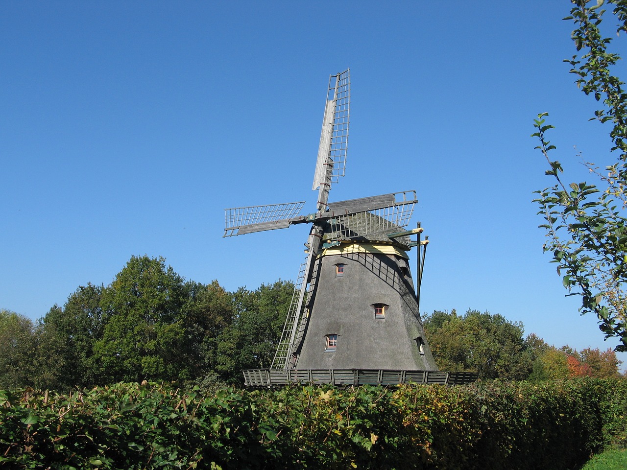 windmill hesse park hedge free photo