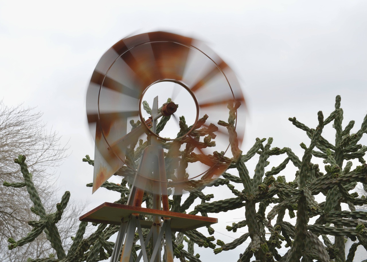 windmill cactus motion free photo