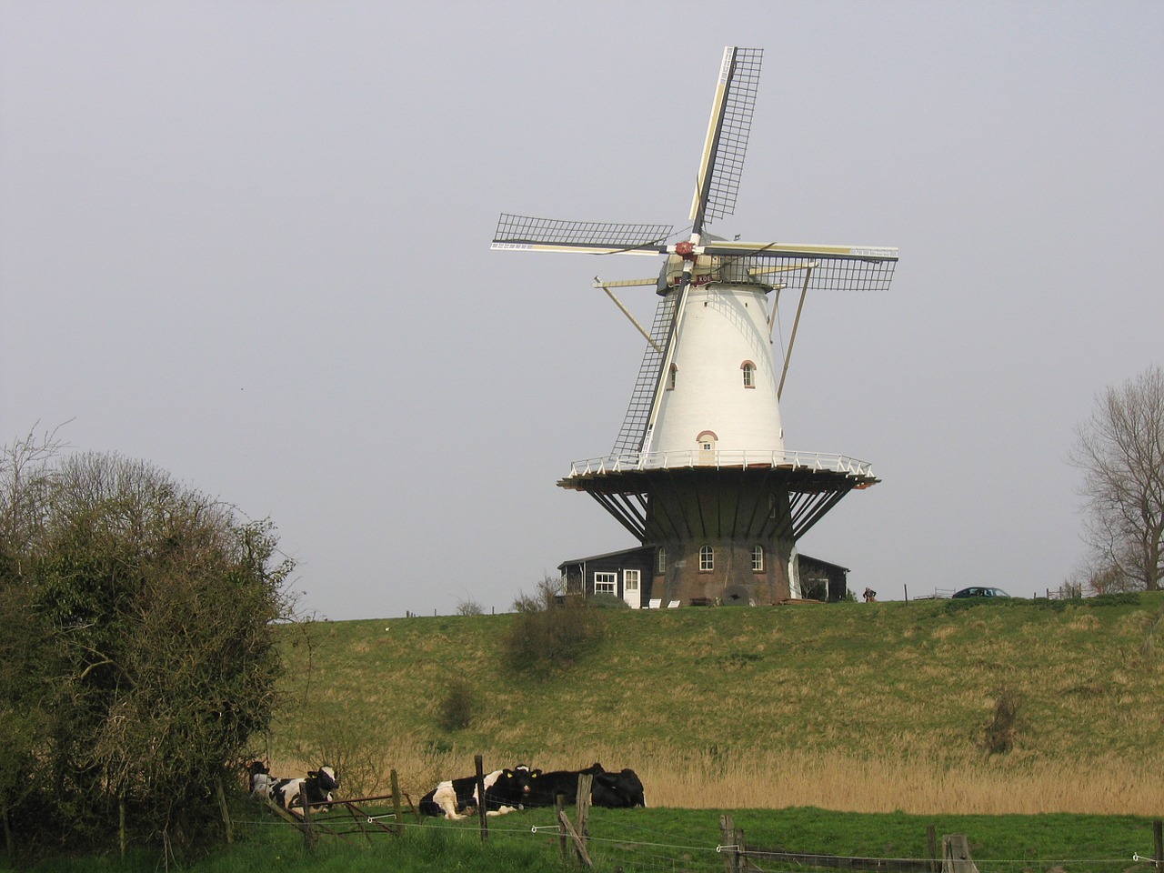 windmill netherlands historic free photo