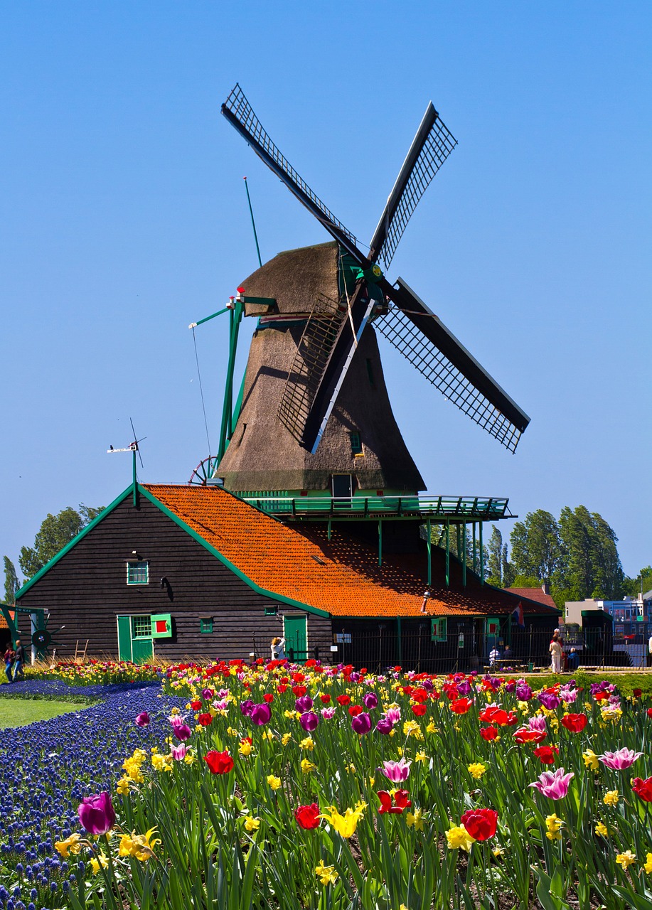 windmill netherlands garden free photo